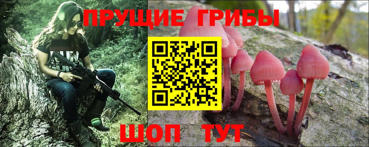Псилоцибиновые грибы мицелий  как найти закладки  Димитровград  Вход с VPN 